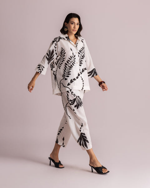 ΚΙΜΟΝΟ MOUTAKI